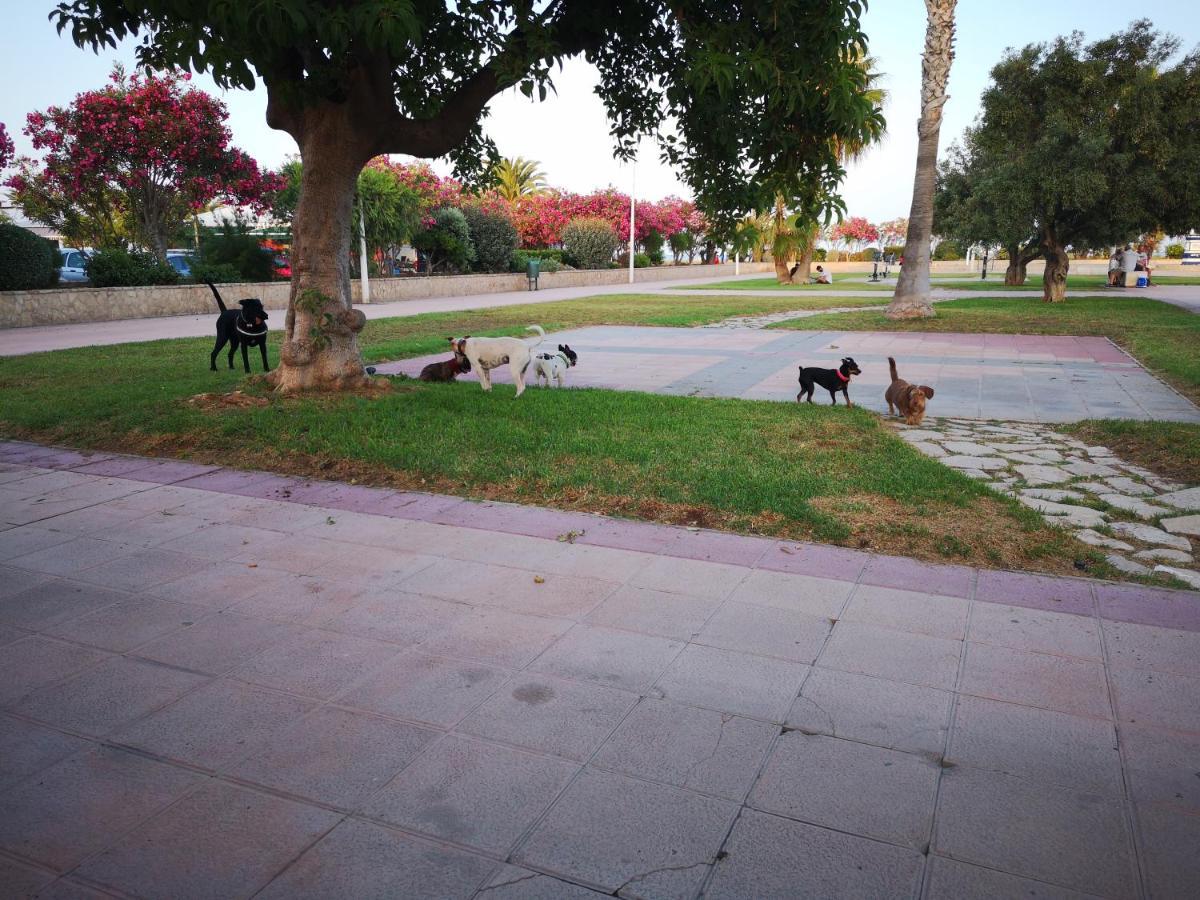 1Ere Soleil Levant Puerto de Sagunto Ngoại thất bức ảnh
